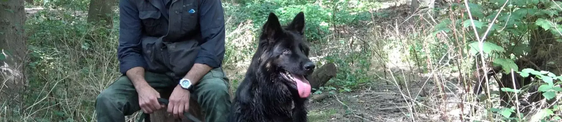 Opleiding hondenherplaatser