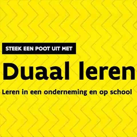 Duaal leren