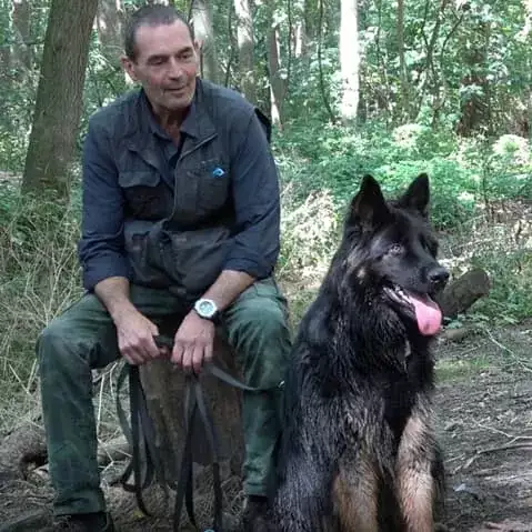 Opleiding hondenherplaatser