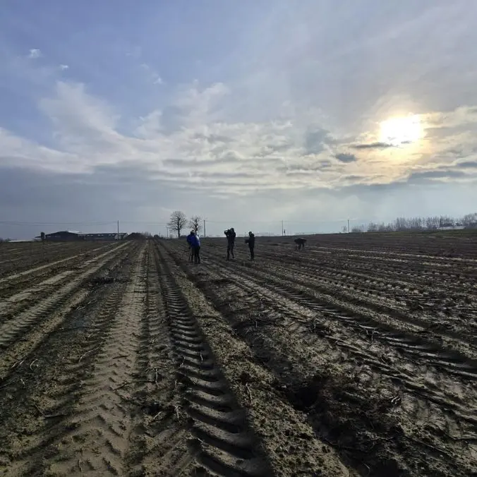 metaaldetectie in veld