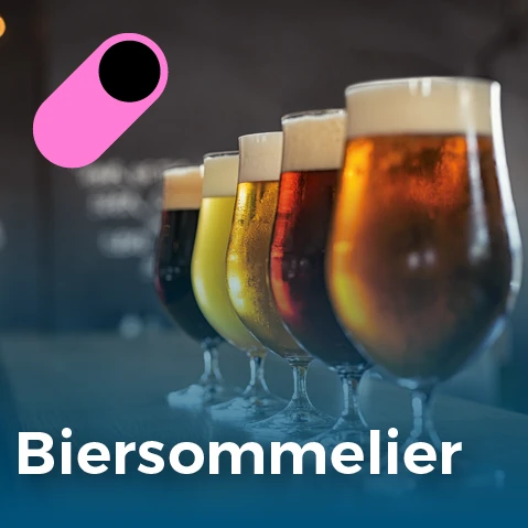 Een carrièreswitch maken bij Syntra West: biersommelier