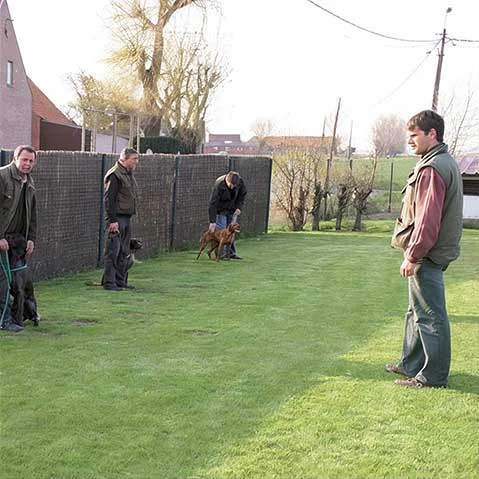 Opleiding hondeninstructeur - Syntra West