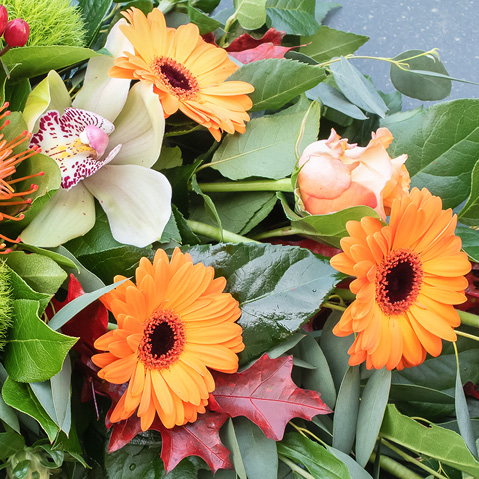 Florist