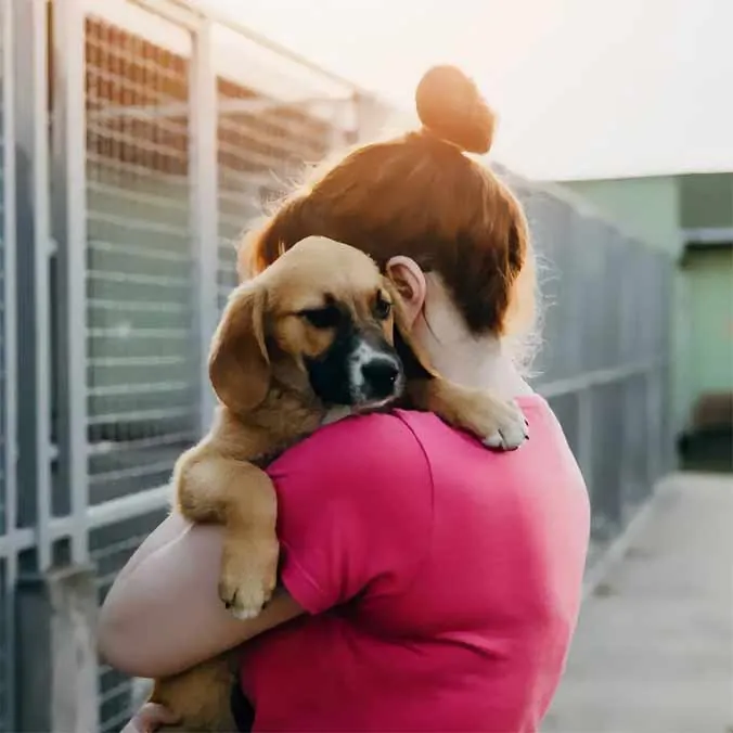 Opleiding Medewerker dierenasiel - Syntra West