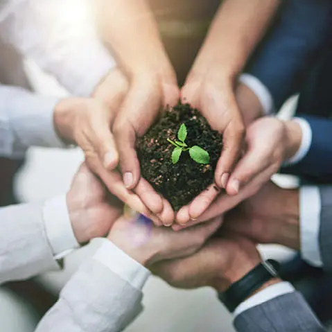 Handen die aarde met plantje vasthouden