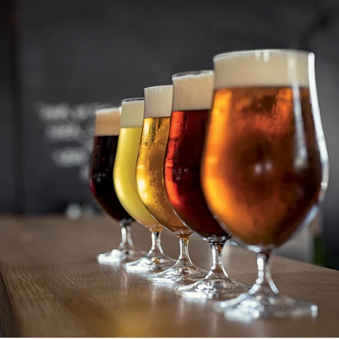 Opleiding biersommelier - Syntra West