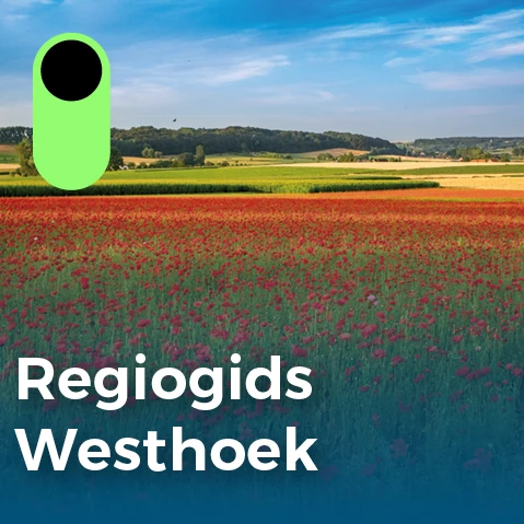 Een carrièreswitch bij Syntra West: regiogids westhoek