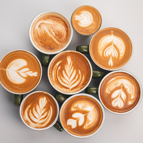 Barista