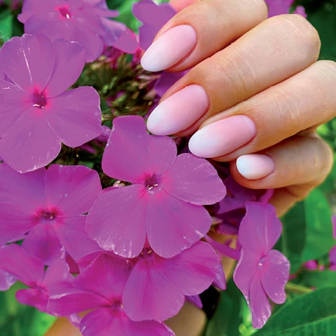 Opleiding Russian manicure (freestechnieken) - Syntra West