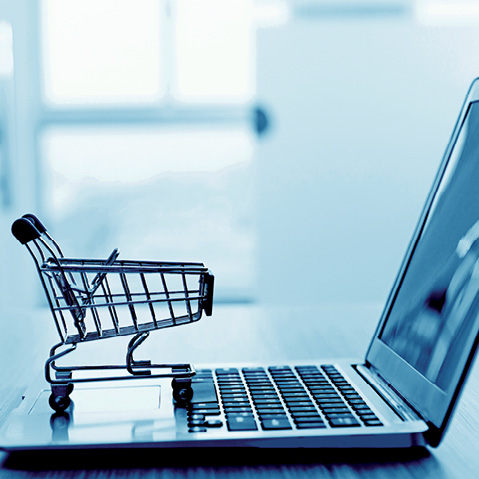 Maak van jouw ondernemersidee of winkel ook een digitale zaak!