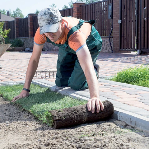 Opleiding Groenaannemer - Syntra West