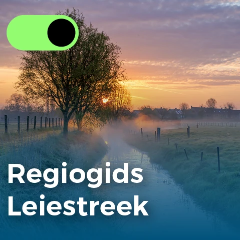 Een carrièreswitch bij Syntra West: Regiogids Leiestreek