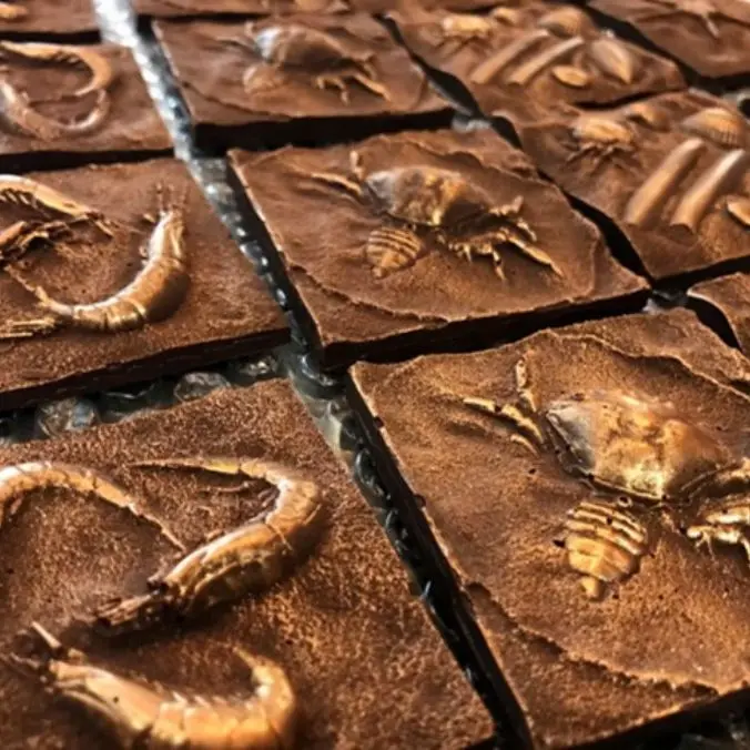 chocoladebar van ZoeteZee
