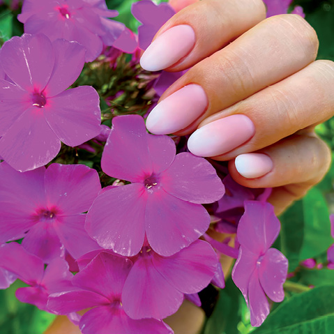 banner-image