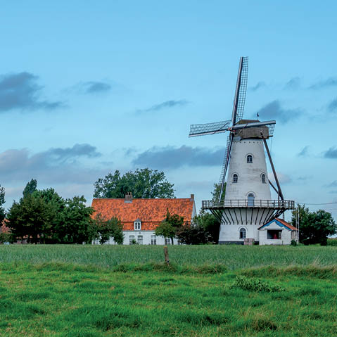 banner-image